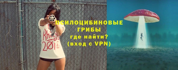 хмурый Медногорск