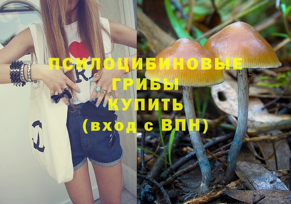 прущие крисы Михайловка