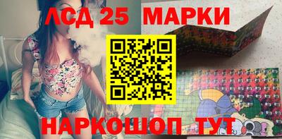 2c-b Кингисепп