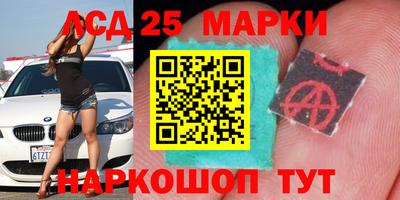 2c-b Кингисепп