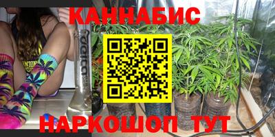 2c-b Кингисепп