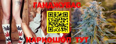 гашик Кинель