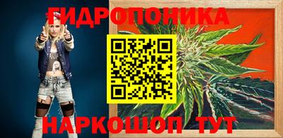 2c-b Кингисепп