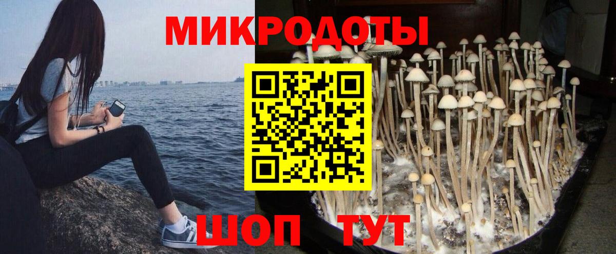 Галлюциногенные грибы GOLDEN TEACHER  Вход с VPN  Челябинск 
